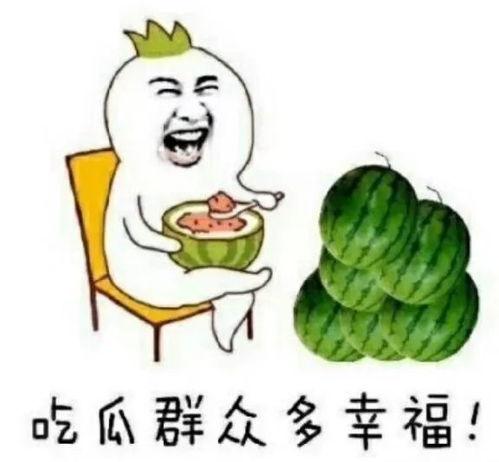 娱乐的吃瓜酱